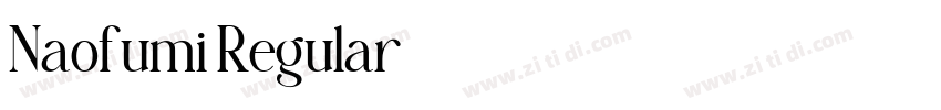 Naofumi Regular字体转换
